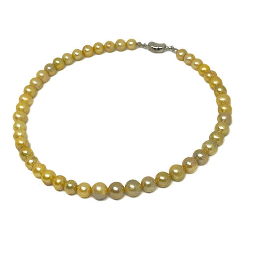 8mm AAA Quality Freshwater Cultured Pearl Necklace in Gold